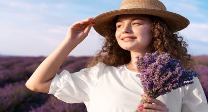 Esta es la poderosa planta que usan los expertos para eliminar plagas de polillas y mosquitos