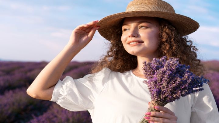 Esta es la poderosa planta que usan los expertos para eliminar plagas de polillas y mosquitos