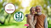 Foto ilustrativa de la nota titulada Pensión IMSS e ISSSTE: ¿Cuáles el monto que deben cobrar los pensionados en el séptimo pago del 2024?