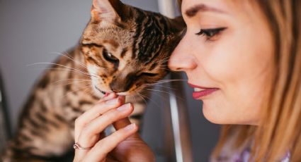 Estos son los olores para que tu gato no orine donde no debe, según experta