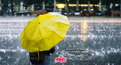 CLIMA HOY: Lluvias y calor ¿En dónde y a que hora?