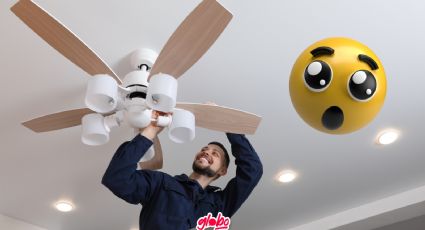 Ventiladores más fríos, remedios caseros para lograr un buen enfriamiento en la casa