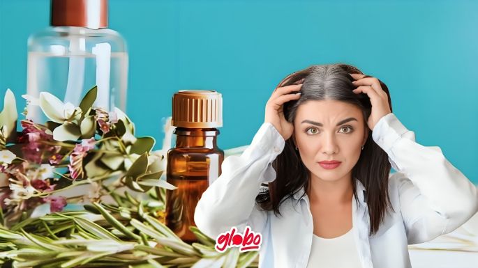 Reduce las canas con este tónico de plantas que oscurecen el cabello