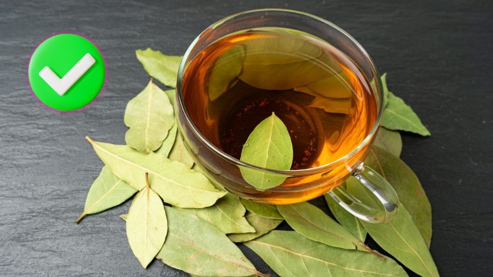 ¿Para qué sirve beber té de laurel y qué beneficios tiene tomarlo?