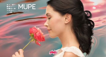 Dónde ir: Visita el Museo del Perfume en CDMX y su Exposición Temporal “Los Ángulos de la Rosa”