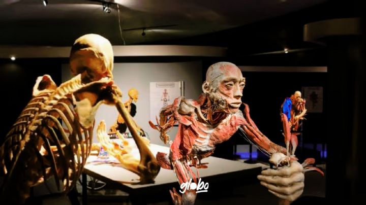 “Our body, el universo dentro”, la exposición con cuerpos humanos reales: Precios y fecha del ÚLTIMO día para verla