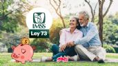 Foto ilustrativa de la nota titulada Pensión Ley 73 del IMSS: Así queda el NUEVO aumento a pensionados