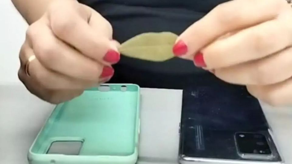 Aprende el trucazo de colocar una hoja de laurel en la carcasa de tu celular. Fuente: Foto: captura de pantalla cuenta de TikTok Magia y rituales con María