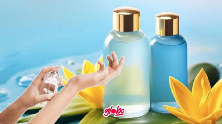 Verano 2024: Descubre el perfume cítrico en su nueva versión revolucionada y duradera