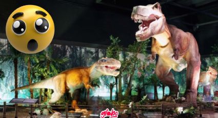 Exposiciones de dinosaurios CDMX: Cuándo, dónde y cuál es el precio de las actividades