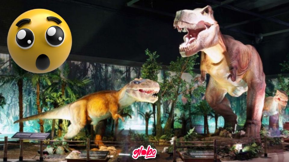 Visita estas Exposiciones de dinosaurios en CDMX, sobre todo si eres amante de ellos.