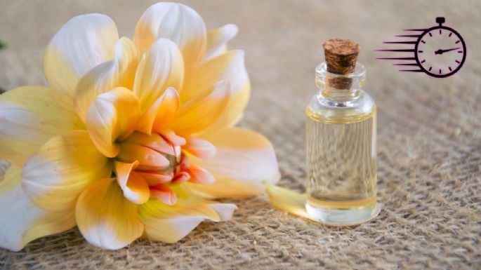 Estos son los mejores perfumes en aceite con duración por horas para mujeres: ¿Cómo usarlos?