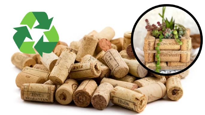DIY: aprende a crear una maceta cuadrada para tus suculentas usando corchos viejos