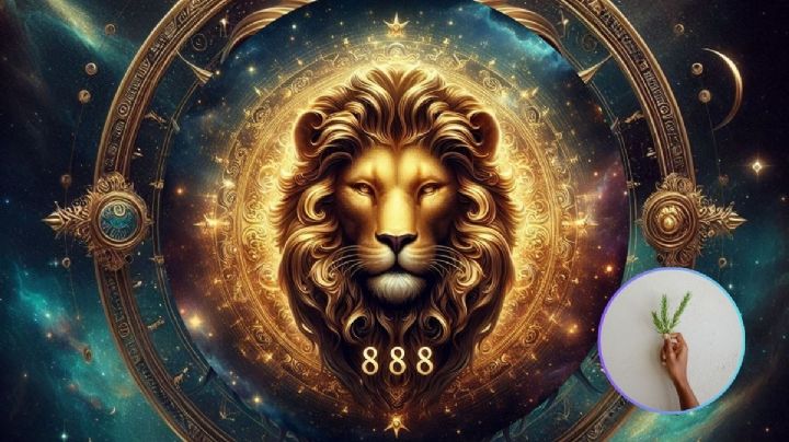 Portal 888 agosto 2024: Así puedes atraer la abundancia con este ritual de romero y laurel