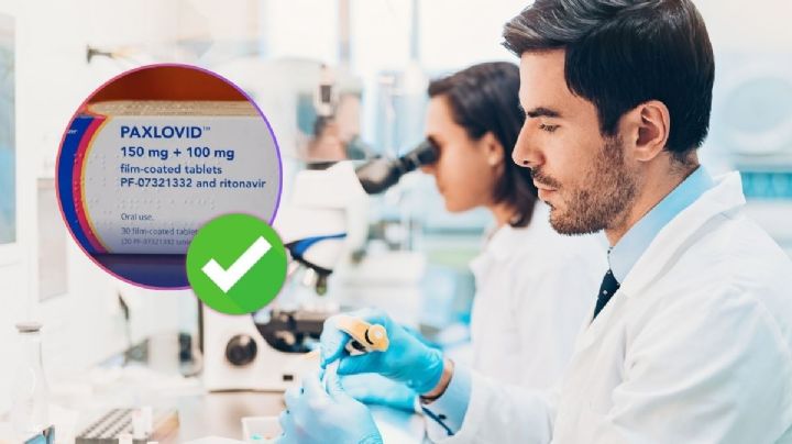 ¿Qué es el Paxlovid y para qué sirve el medicamento que aprobó Cofepris?