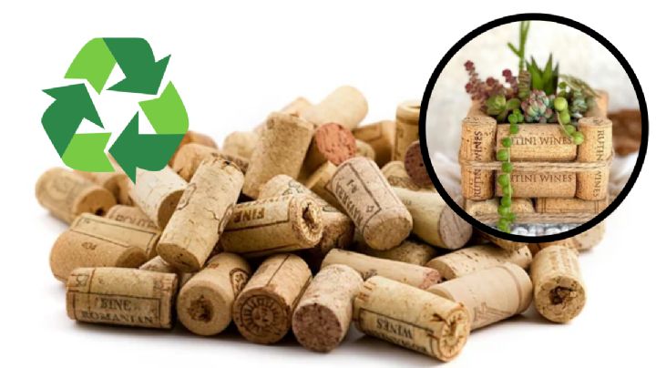 DIY: aprende a crear una maceta cuadrada para tus suculentas usando corchos viejos