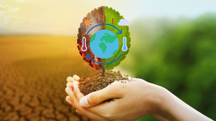 Nuevo fenómeno El Niño: Así ayudará a pronosticar mejor el clima en el Hemisferio Sur