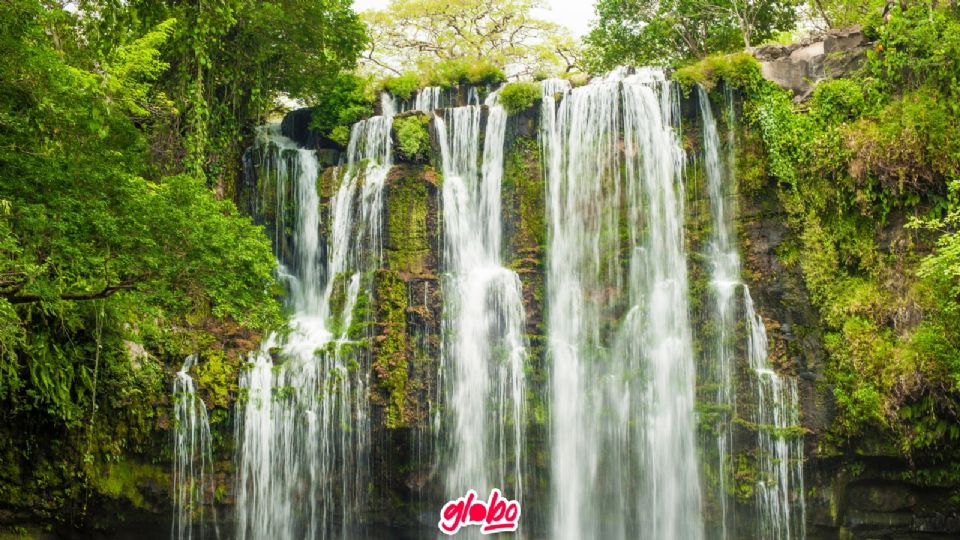 Visita las zonas naturales que tiene para ofrecernos Hidalgo, como estas cascadas que están cerca de CDMX.