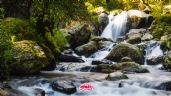 Foto ilustrativa de la nota titulada Dónde ir: Parque Nacional Los Dinamos conoce la cascada más cercana a CDMX