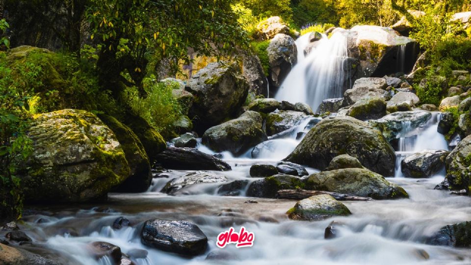 ¡Es increíble sabes que CDMX tiene una Cascada con agua cristalina!