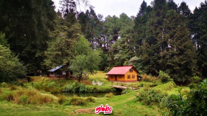 Bosques embrujados en México: Lugar ideal para acampar y vivir la adrenalina al máximo junto a tus amigos