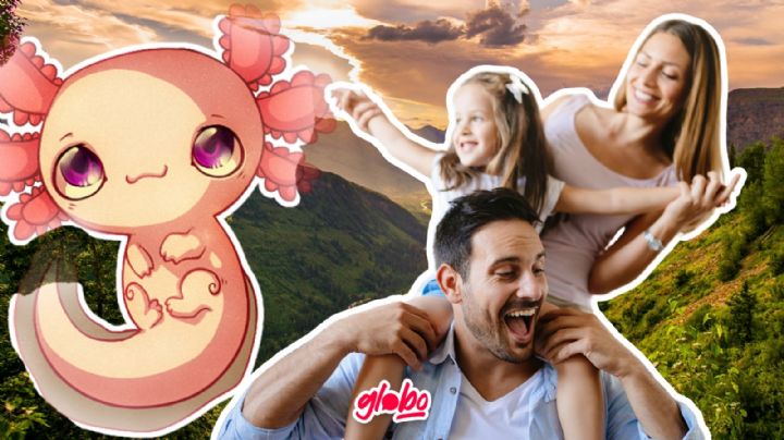 5 cosas que puedes hacer en Bosque del Ajolote en Puebla: ¿Cuánto cuesta y cómo llegar?