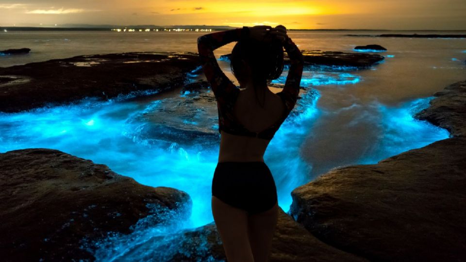 Las lagunas más bellas e ideales de Oaxaca para ver el fenómeno de la bioluminiscencia al caer la noche y presenciar un espectáculo visual lleno de magia.