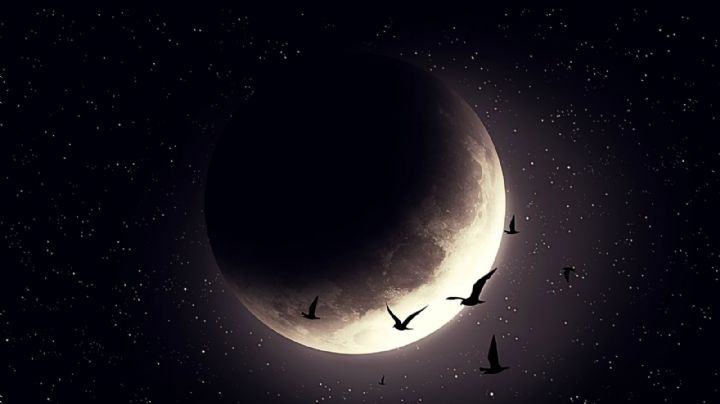 Ritual de Luna Nueva del 29 de Enero: ¿Qué cambiará en nuestra vida y cómo aprovechar la energía?