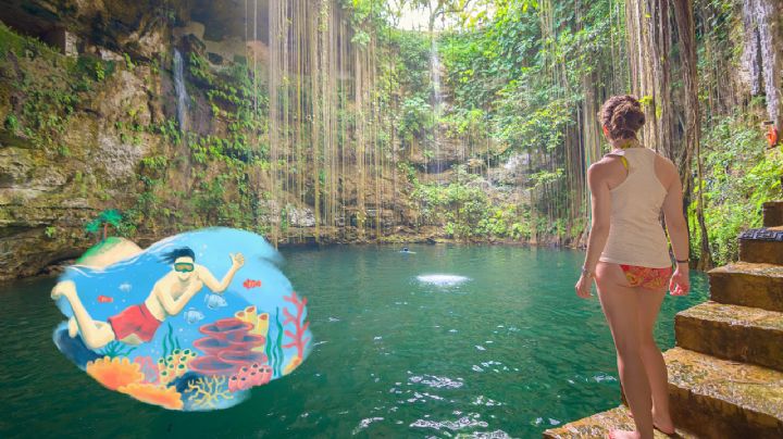 Cenotes: ¿qué son y cuántos hay en total en todo México?