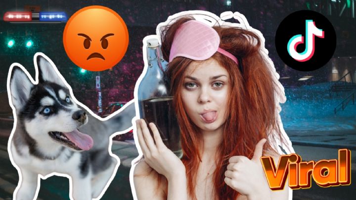 Mujer es captada en video emborrachando a un perrito y se hace viral en TikTok ¿Cuál será su castigo?