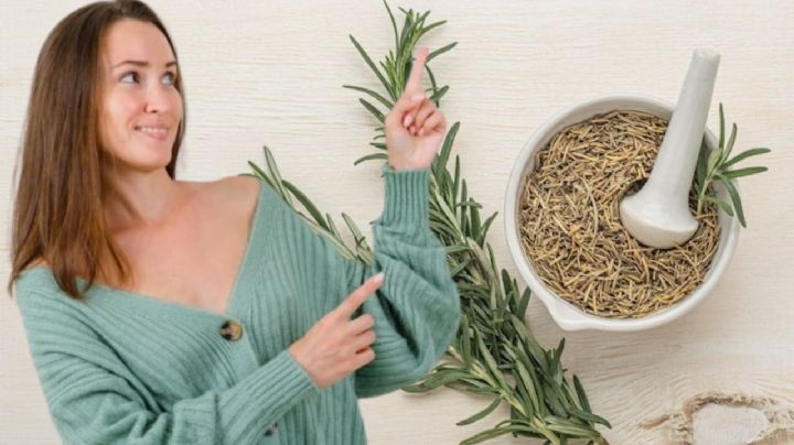 Estas son las plantas que debes tener en casa para limpiar la energía negativa