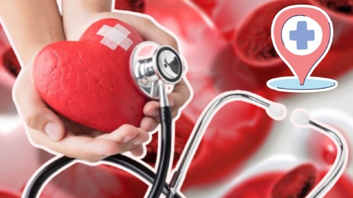 Los alimentos que te ayudarán a aumentar el colesterol del bueno