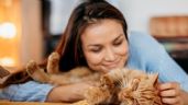 Foto ilustrativa de la nota titulada: ¿Es verdad que los gatos protegen el hogar, absorben malas energías y ayudan a reducir el estrés?