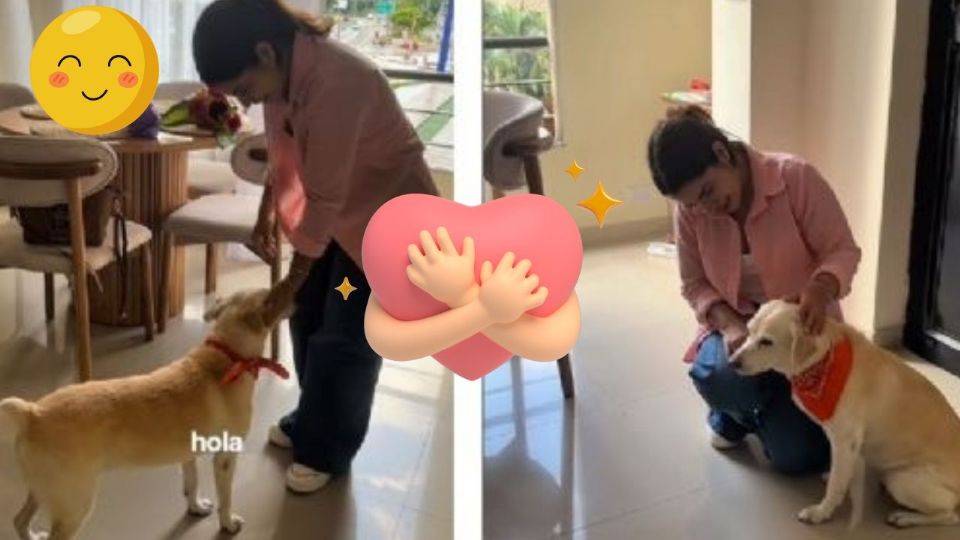 Perrita adoptada se reúne con su dueña después de siete años.