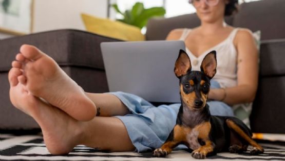 ¿Por qué tu perro te lame los pies? Esta es la razón de ese comportamiento