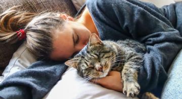 ¿Por qué tu gato se duerme encima de ti? Estas son las razones más comunes