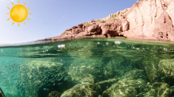 El acuario natural del mundo ubicado en Sinaloa con una espectacular bahía turística
