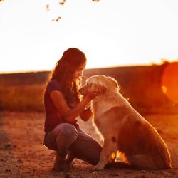 ¿Cómo enfrentar la muerte de tu mascota y superar el duelo?