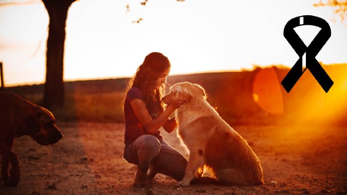 ¿Cómo enfrentar la muerte de tu mascota y superar el duelo?