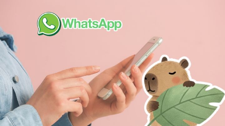 Así puedes activar el 'Modo Capibara' durante el mes de noviembre para sorprender a tus amigos