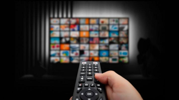 “Coyote Vs Acme” ya ha sido vendida y esta sería su ventana de estreno mundial