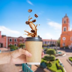 El pueblo de Oaxaca perfecto para gozar de su naturaleza y uno de los mejores cafés gourmet