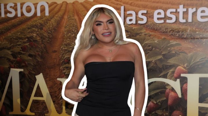 ¿Dua Lipa fan de Wendy Guevara? la cantante le dio like a un video de la influencer