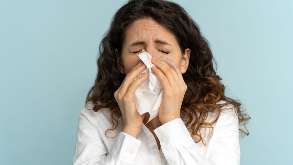 Covid-19 variante Pirola: Nuevos datos de cómo afecta los pulmones y eficacia de vacunas