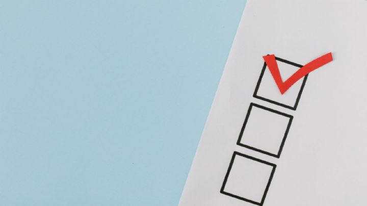 Elecciones 2024 en México: Cuáles cargos se eligen y en qué estados hay comicios