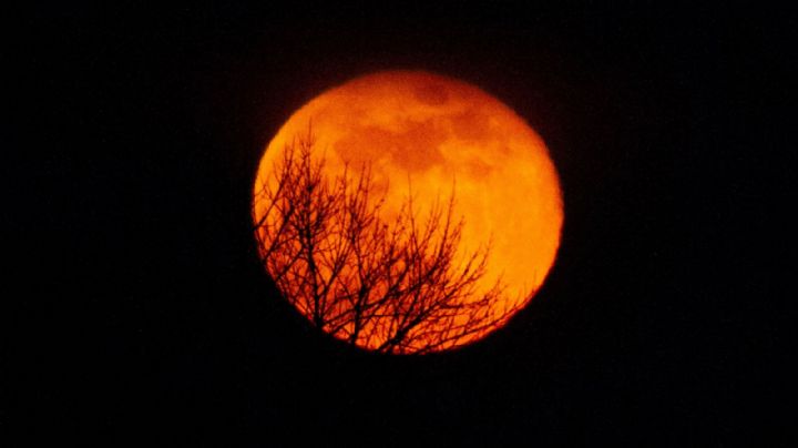 NASA advierte lo que no debes hacer en el eclipse solar 2024	