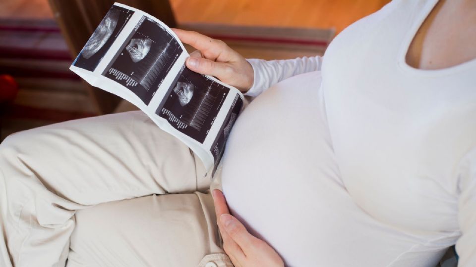 Gabourey Sidibe, protagonista de 'Precious', espera gemelos junto a su esposo Brandon Frankel
