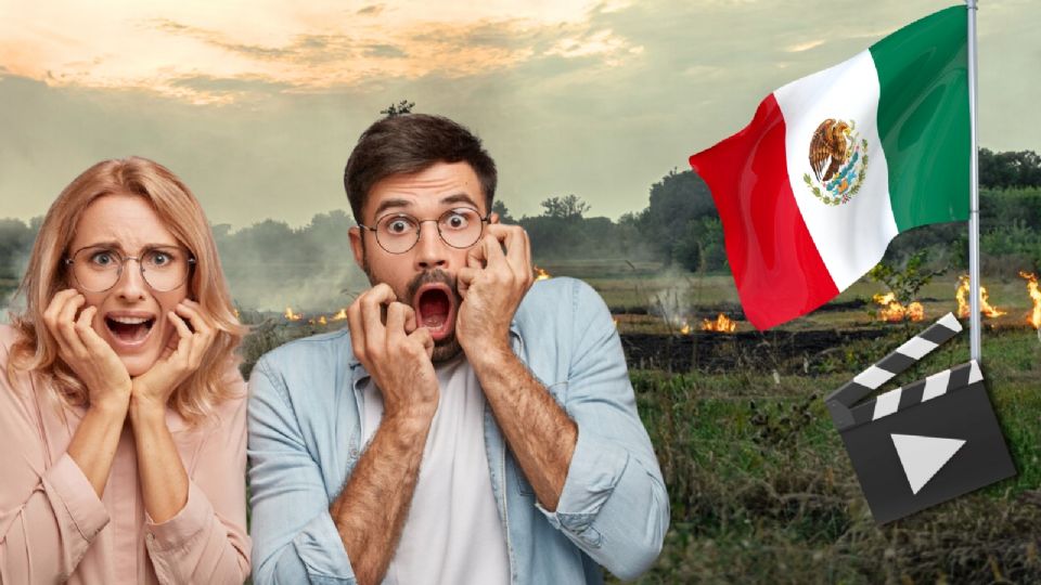 Serie Mexicana sobre un desastre Político- Social.