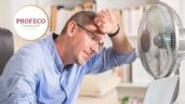 Foto ilustrativa de la nota titulada: ¿Cuál es el mejor ventilador para la temporada de calor?, Profeco lo revela