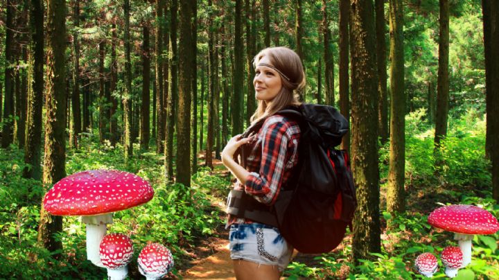 Descubre el pueblo mágico de Oaxaca con montañas, senderos de musgo, hongos y paisajes de ensueño